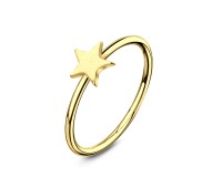 Gold Plated Star Nose Rings NSKR-05-GP